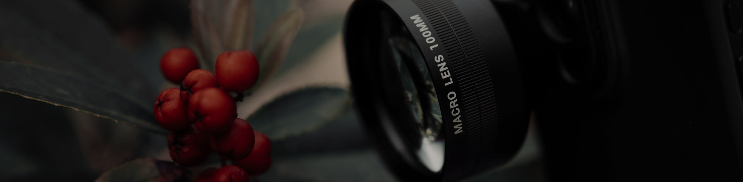 Macro Lens Collection