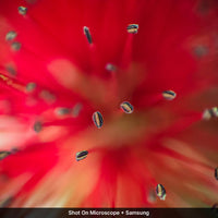Microscope Lens Edition - Samsung Ultra